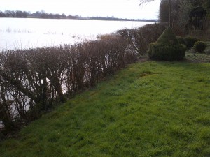 Hoogwater Spaensweerd 13 februari 2016